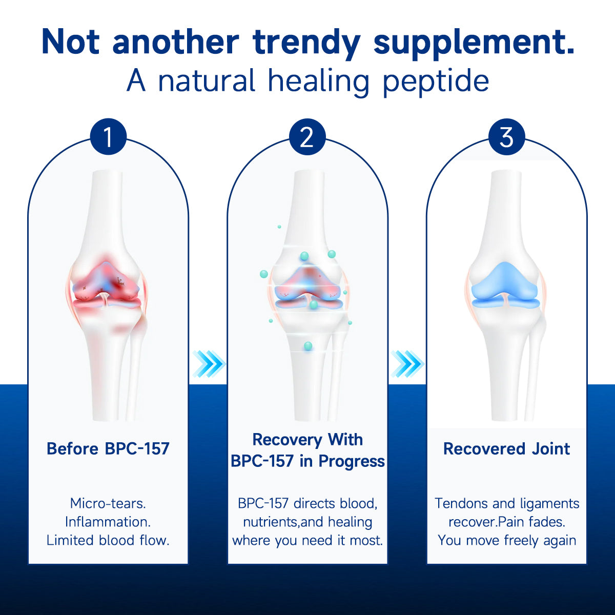 Zvoevo® BPC-157 Stabilized-Peptide Body Recovery Oral Liquid